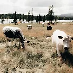 Hoyfjellshotel Szálloda *