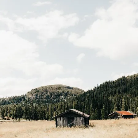 Hotel Hoyfjellshotel *