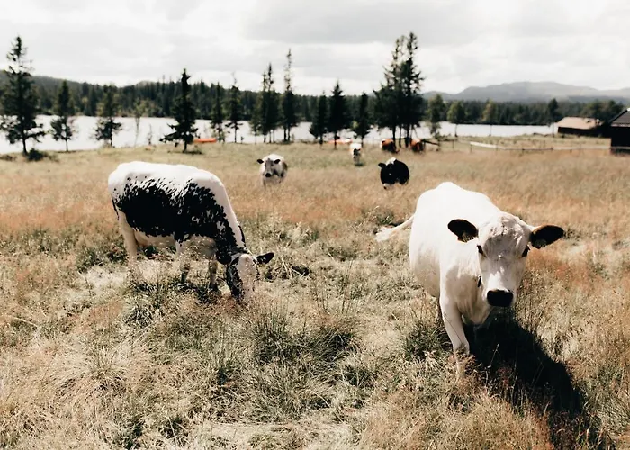 Hoyfjellshotel Hotel *