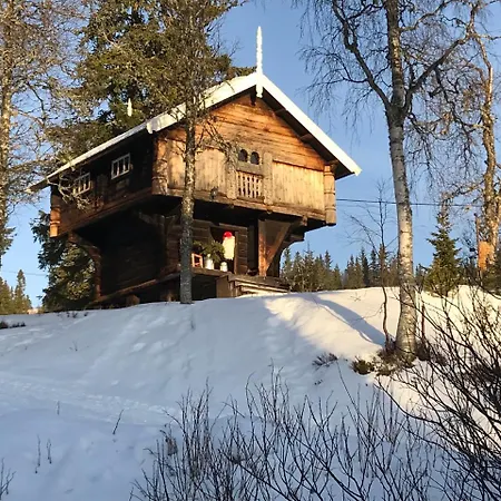 Høyfjellshotel *