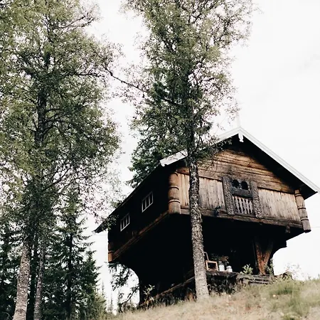 Hotel Hoyfjellshotel Tuddal